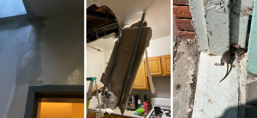 Residents of 201 Pulaski say that nonprofit landlord Food First has refused to address a host of issues in the building – including leaks in the roof that have led to water damage in the hallway (left) and the collapse of one unit’s ceiling (center), and the presence of vermin like rats (right).