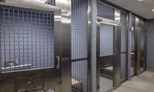 Holding cells at the Rockville Centre, N.Y. police department.